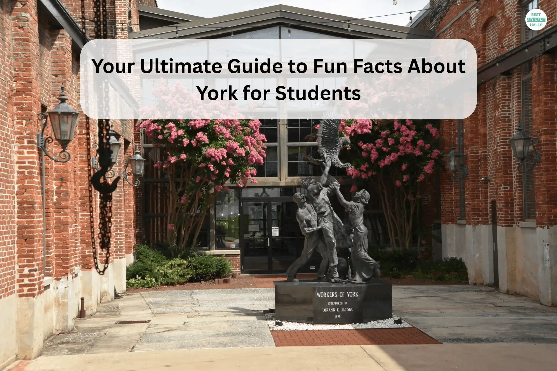 Fun Facts About York