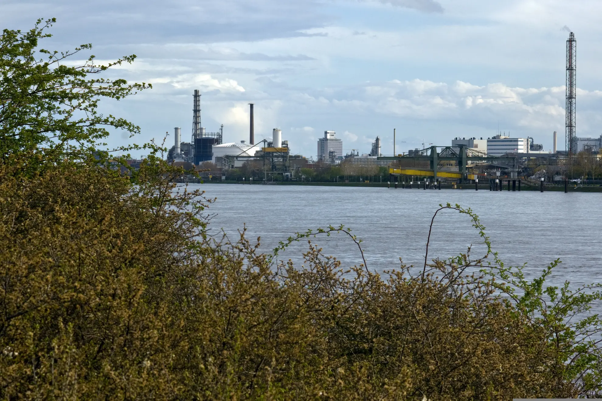 Ludwigshafen