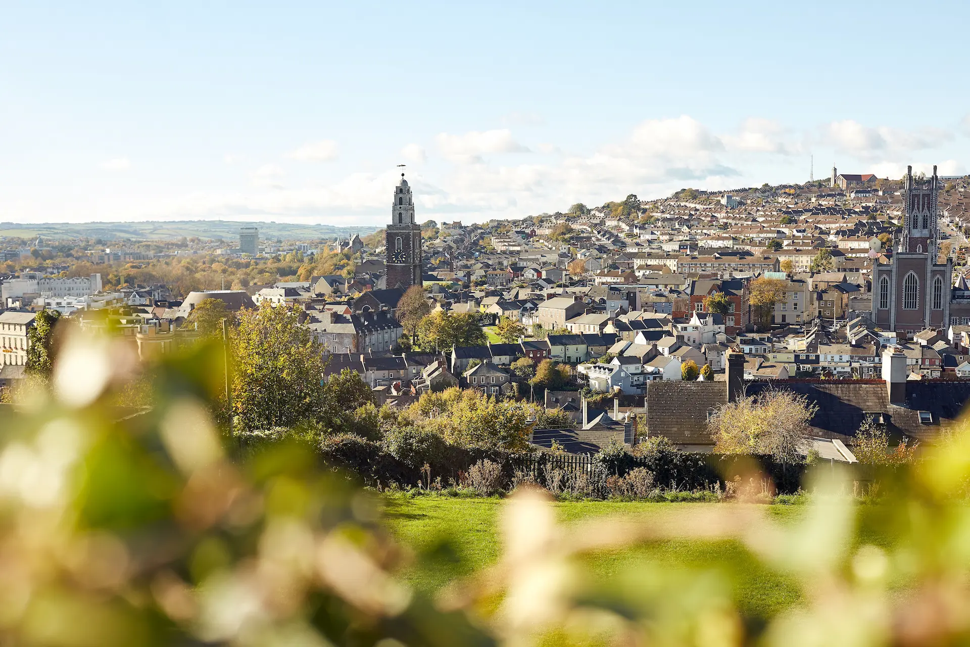 Cork