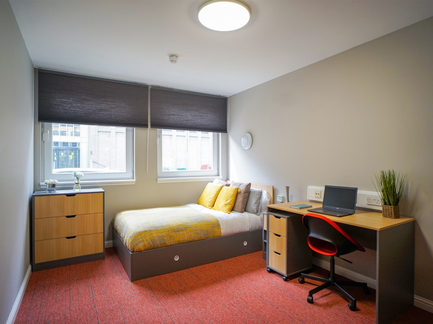 Image of 8 Roxburgh, Edinburgh