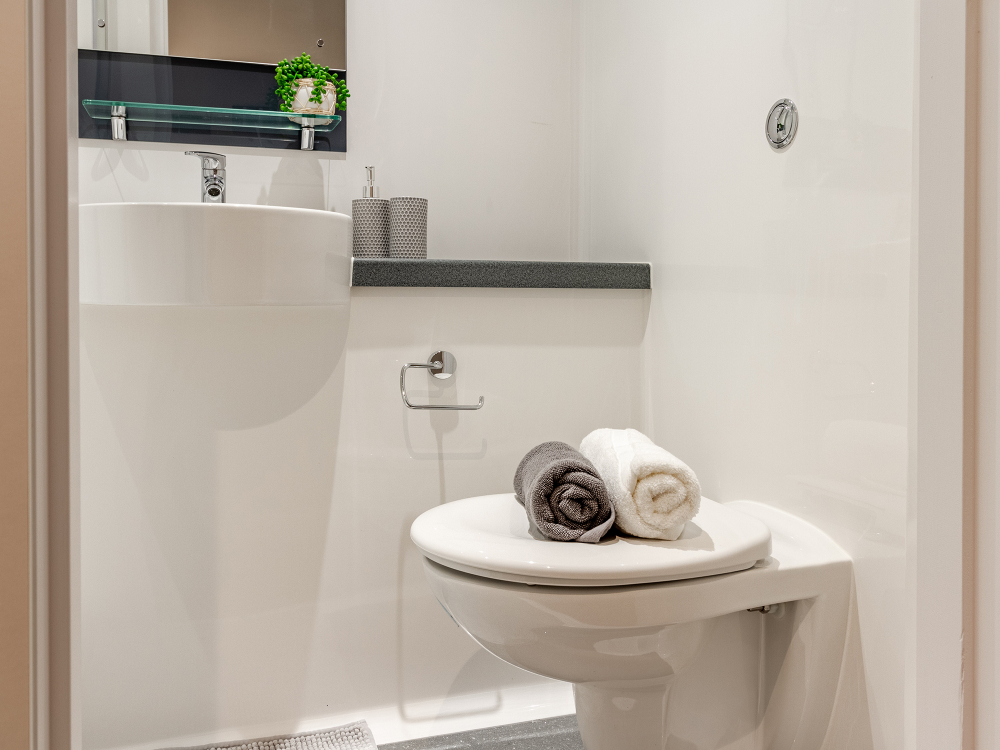 Image of Alumno Falmer, Brighton