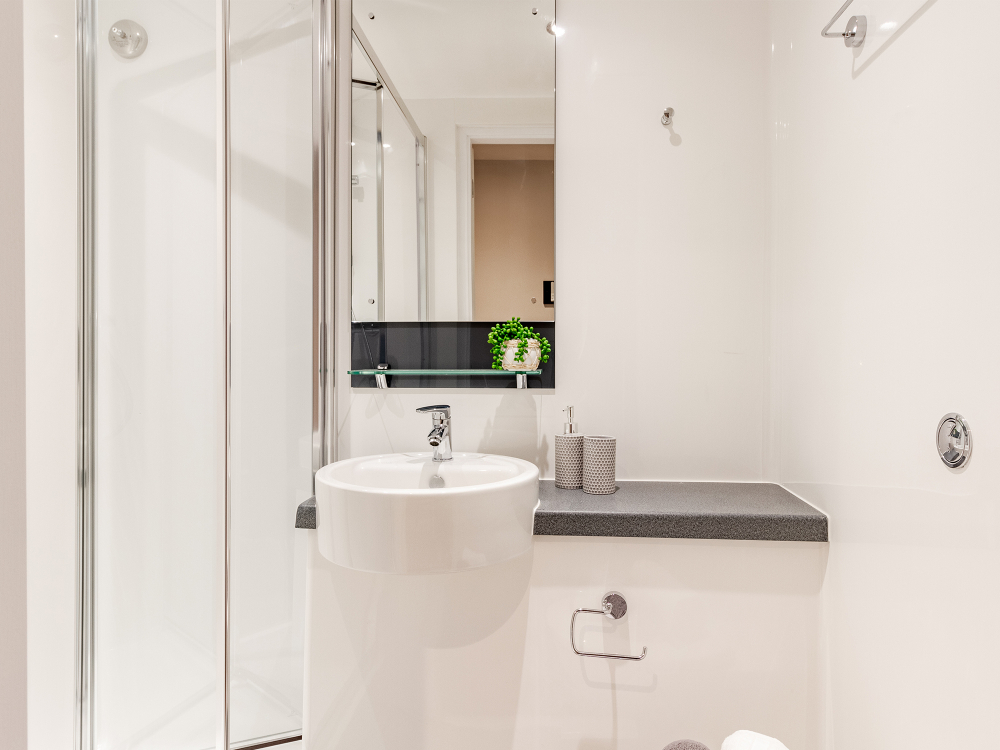 Image of Alumno Falmer, Brighton