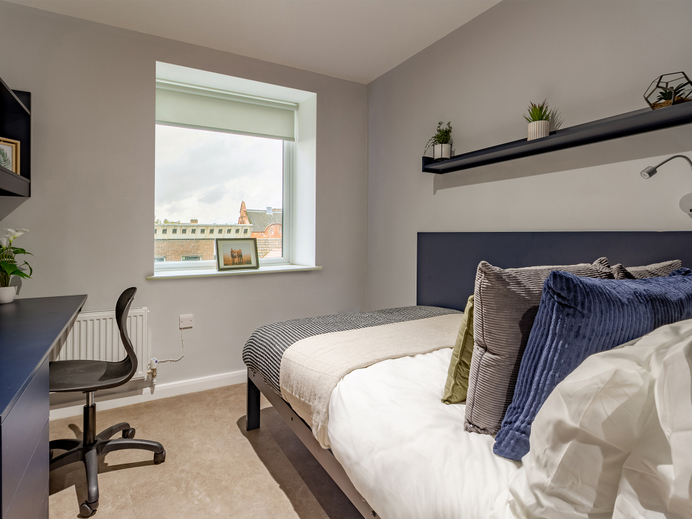 Image of Alumno Falmer, Brighton