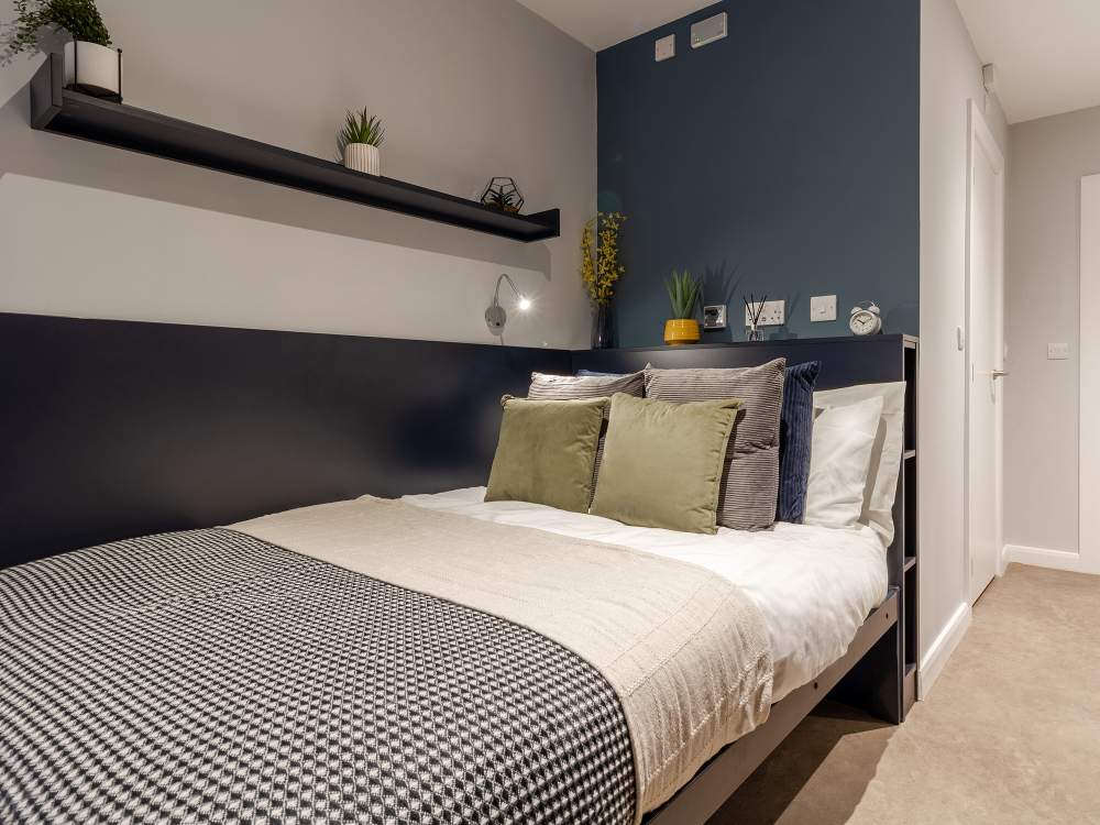 Image of Alumno Falmer, Brighton