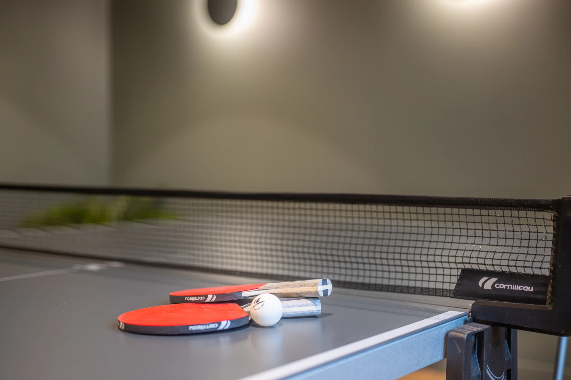 Image of Ardee Road Apartment, Dublin