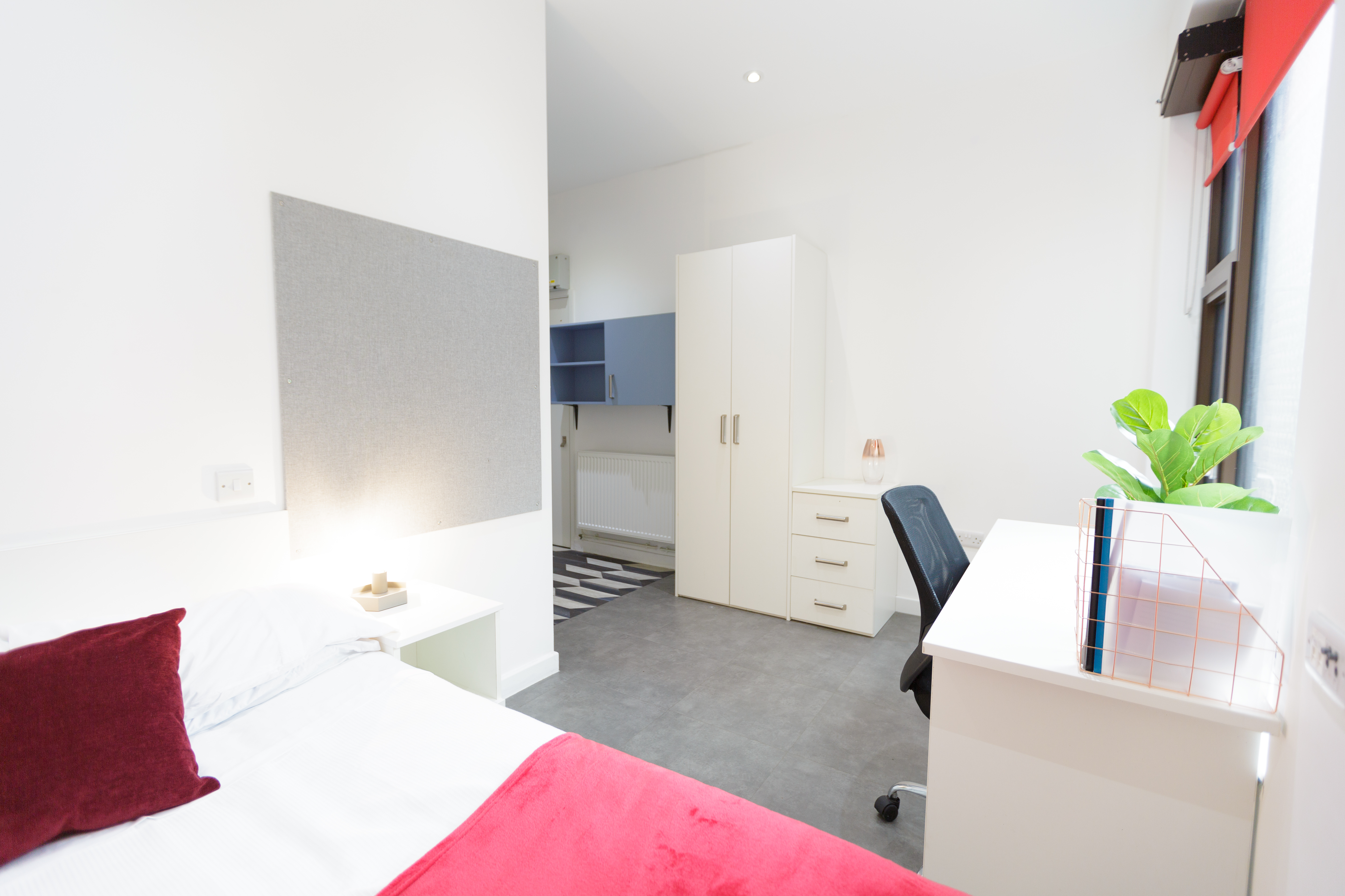 Image of AXO New Cross, London