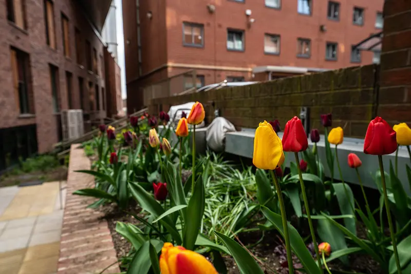 Image of AXO Student Living - Paradise Student Village, Coventry