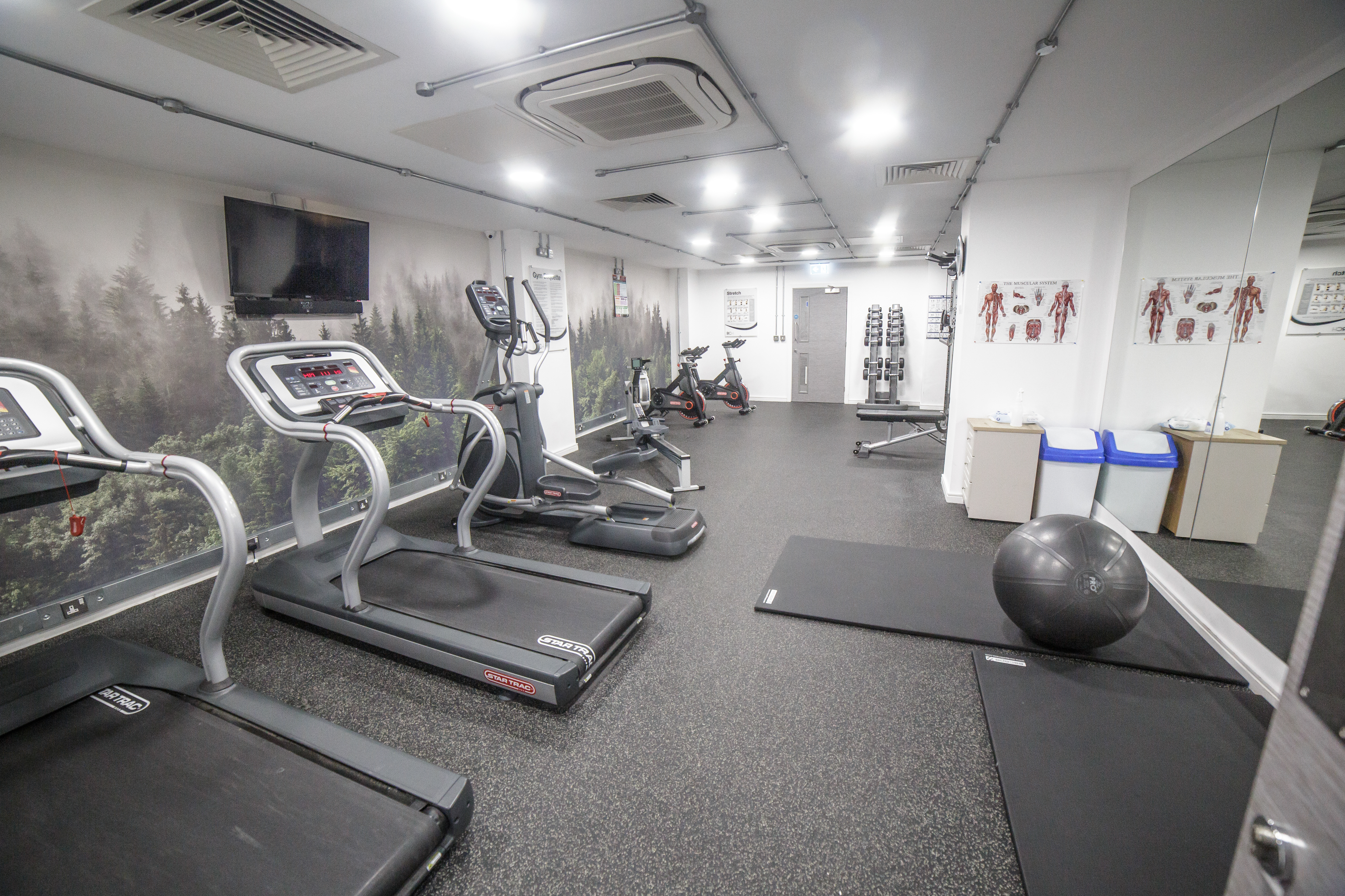 Image of AXO, Sunderland