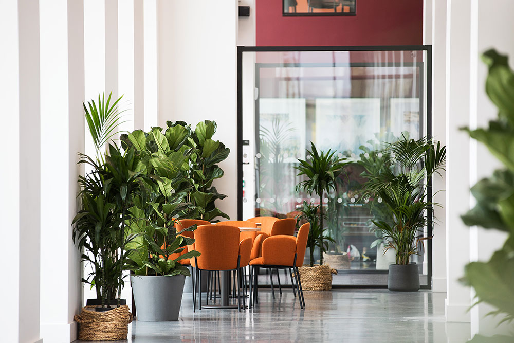 Image of Battery Park, Birmingham