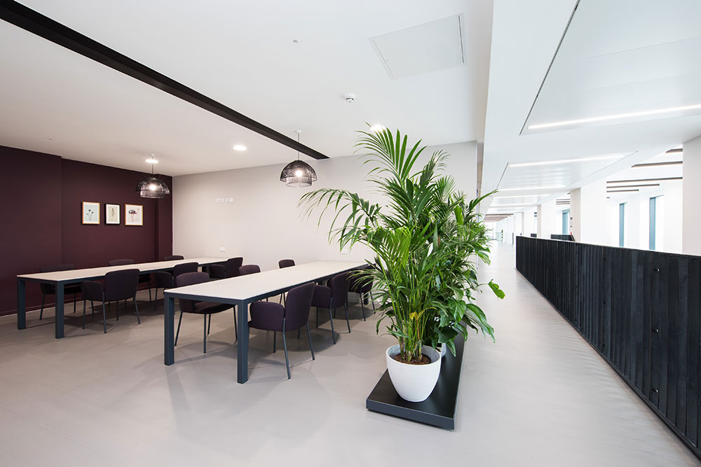 Image of Battery Park, Birmingham