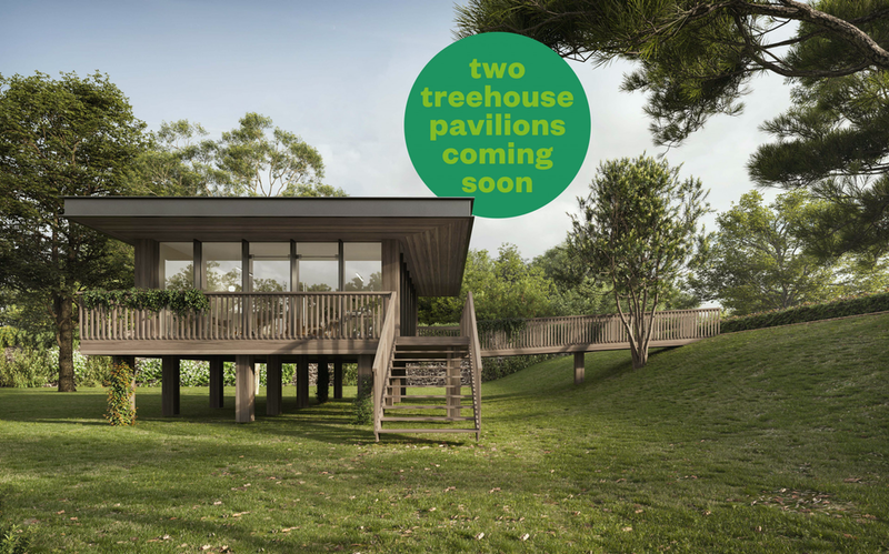 Image of Beech Gardens, Birmingham