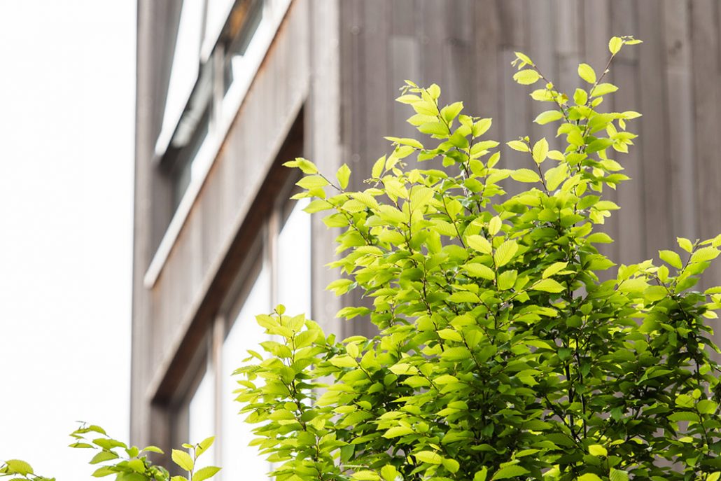 Image of Charles Morton Court, London