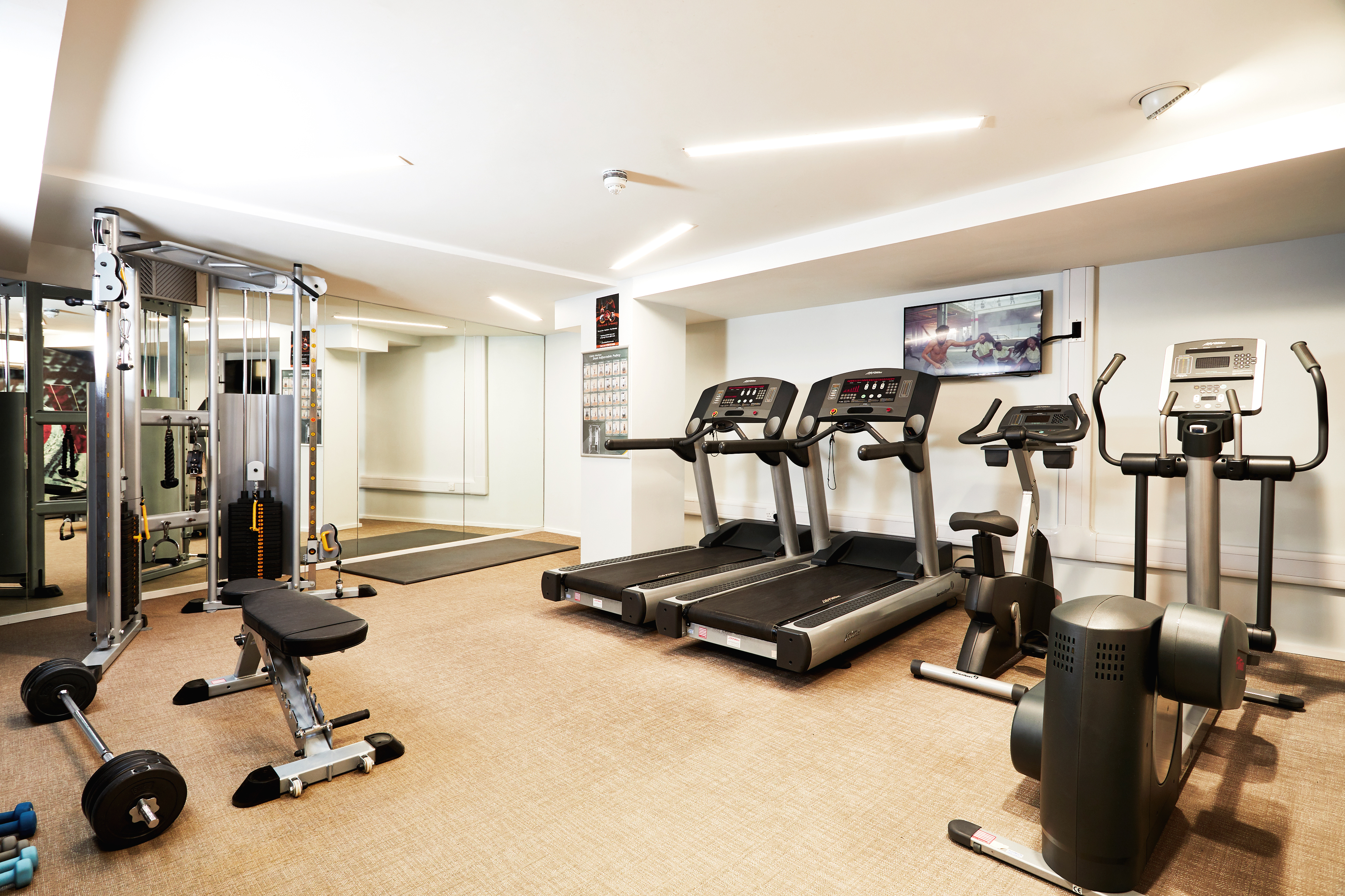 Image of Vita Student Zed Alley, Bristol