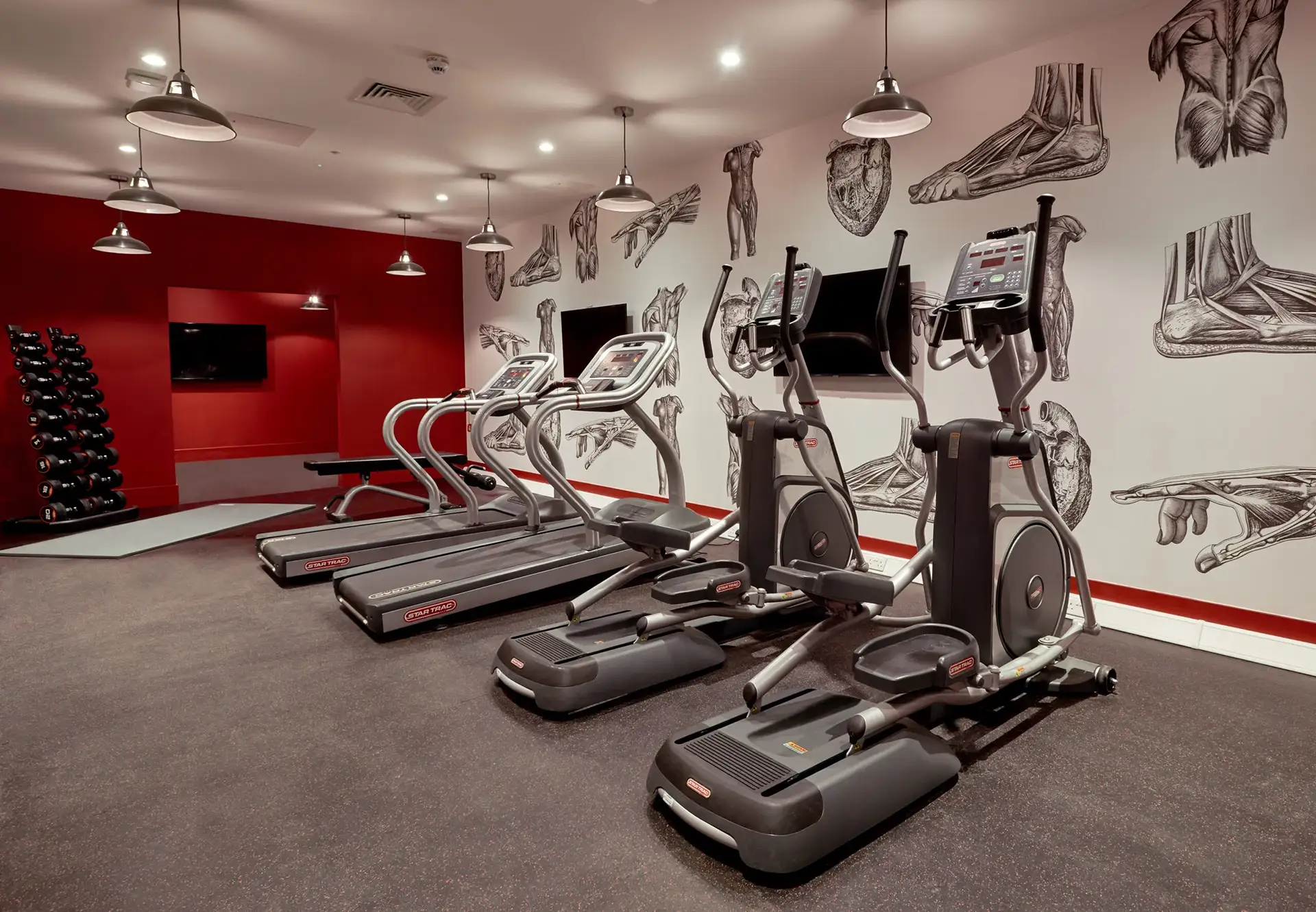 Image of Cumberland Place, Southampton