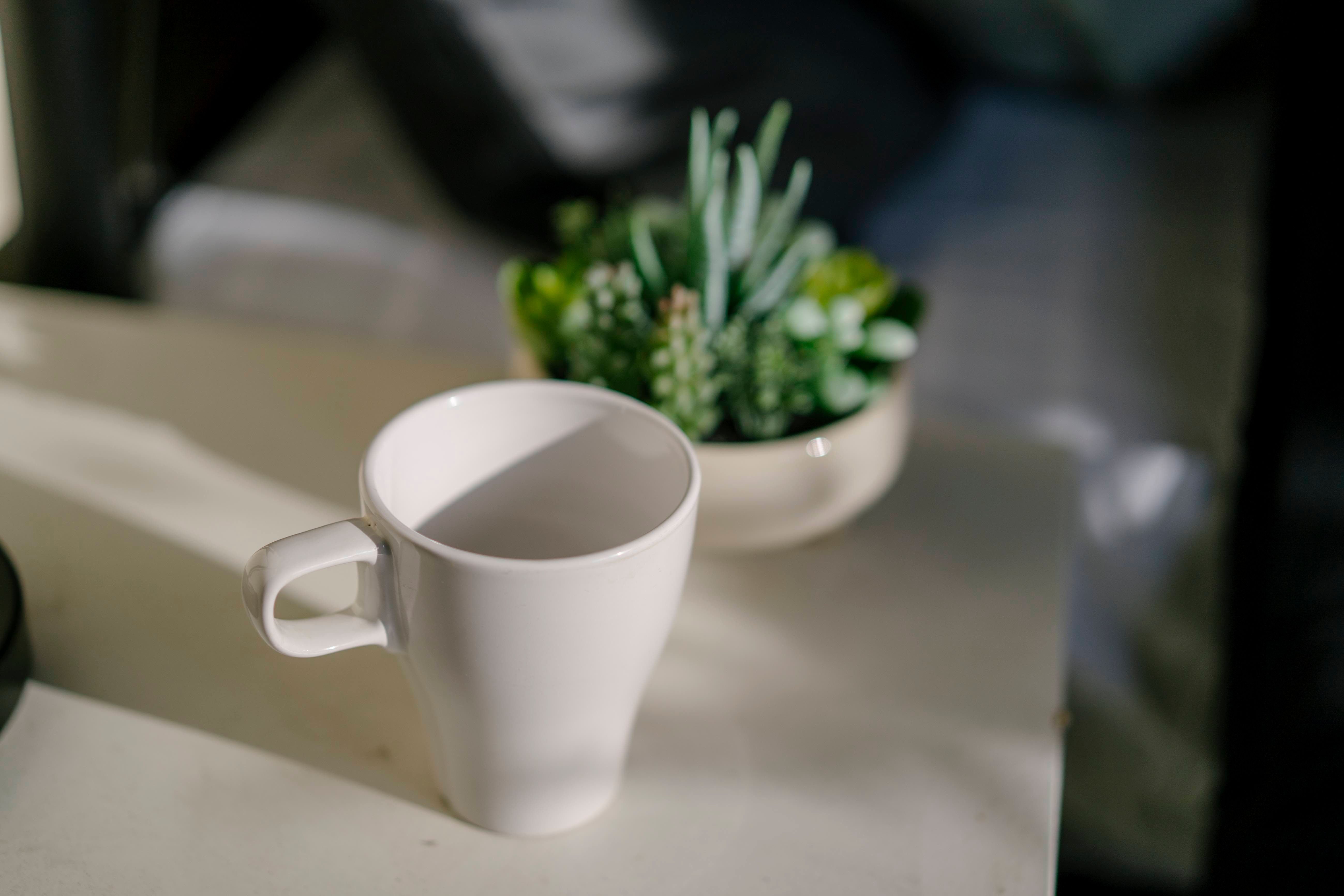 Image of Dayman Apartments, Marsfield