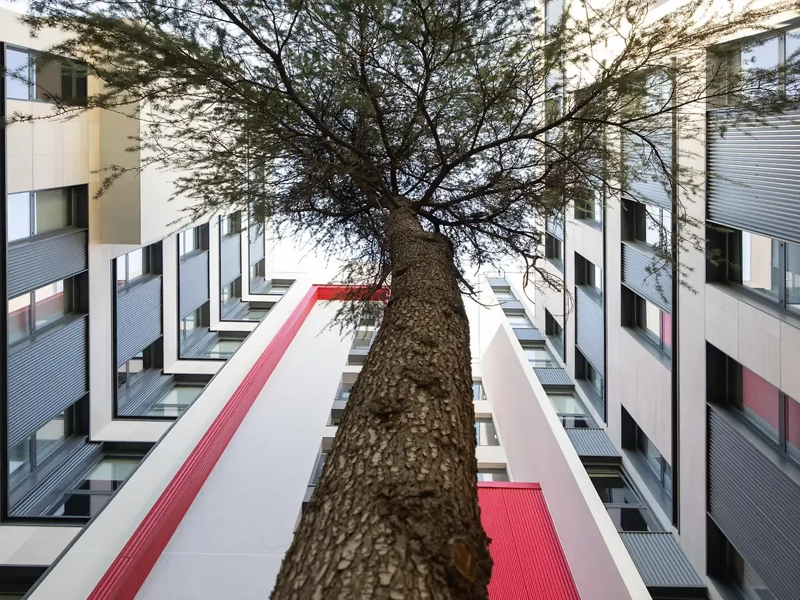 Image of Emilia, Madrid