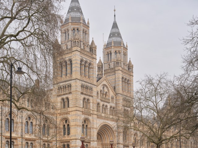 Image of Fifty One London