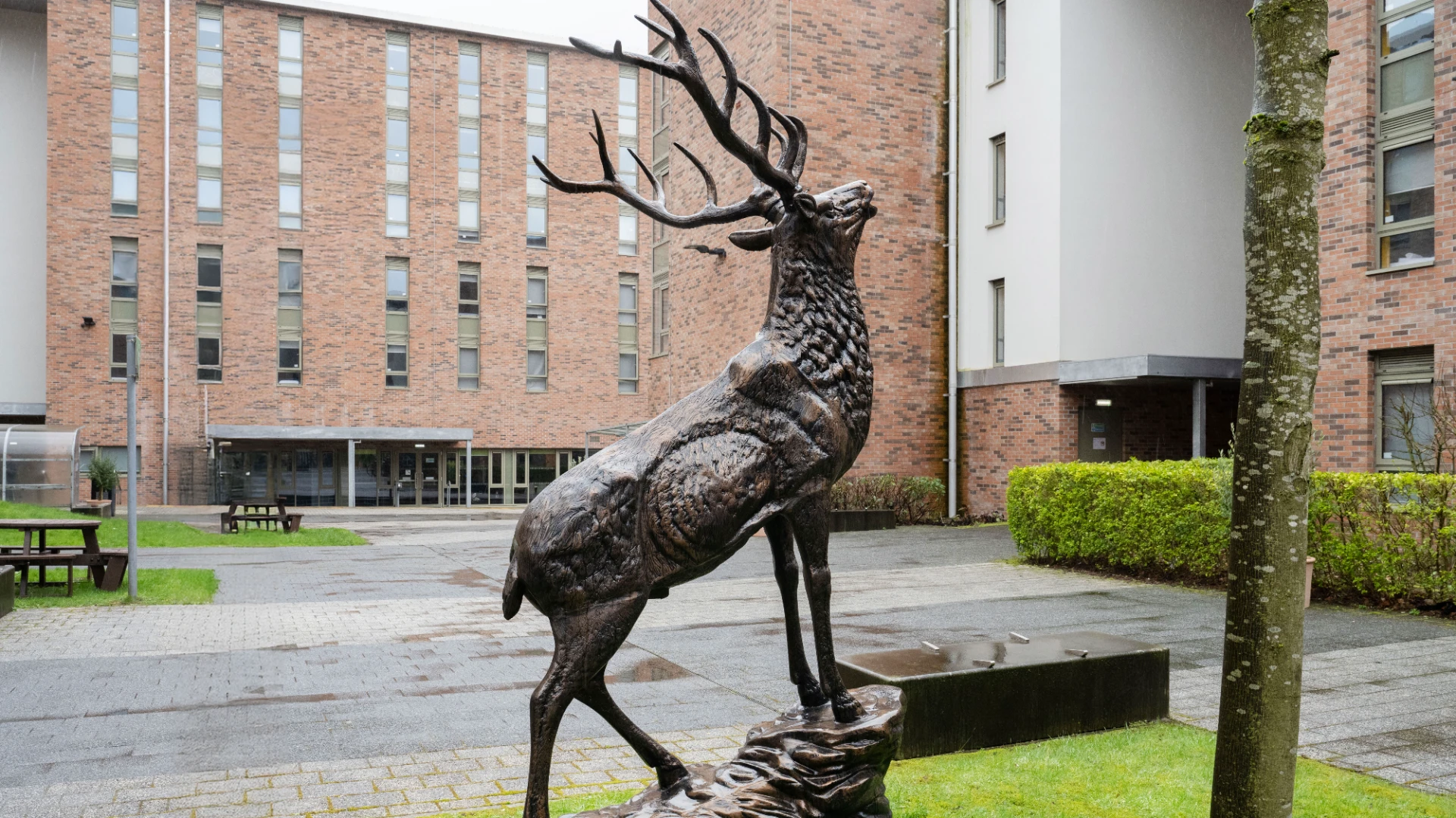 Image of Foundry Courtyard, Glasgow