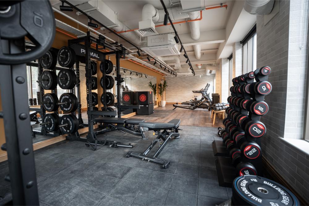 Image of Fusion York