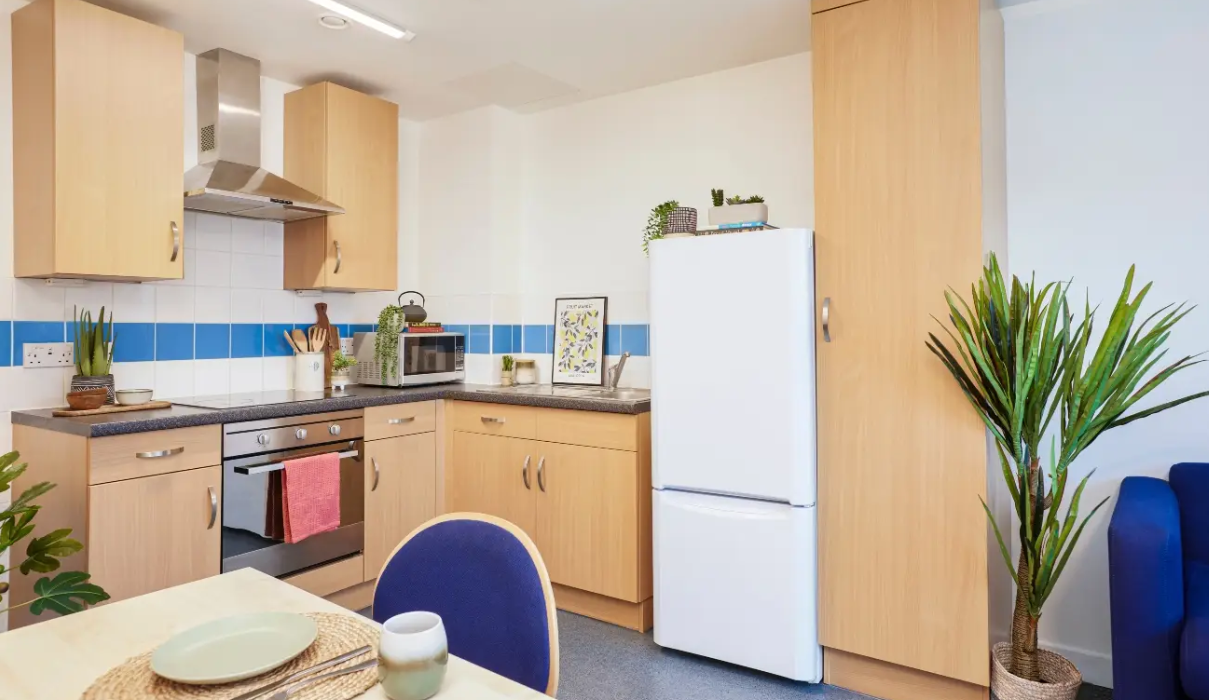 Image of Harriet Martineau, Birmingham