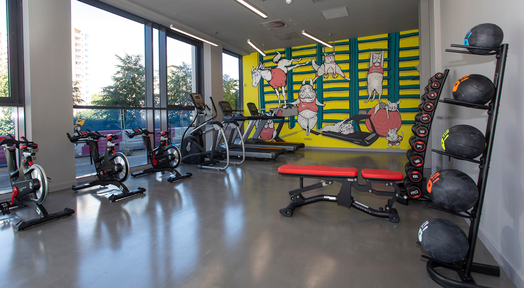 Image of Havannah House, Glasgow