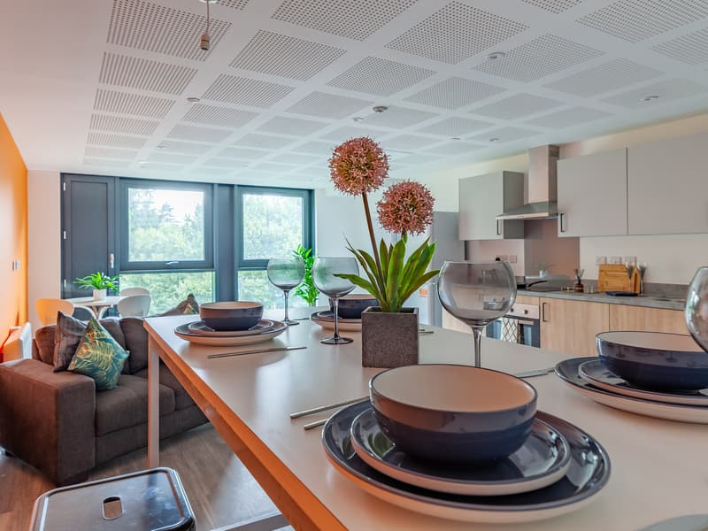 Image of Hill View Place, Exeter