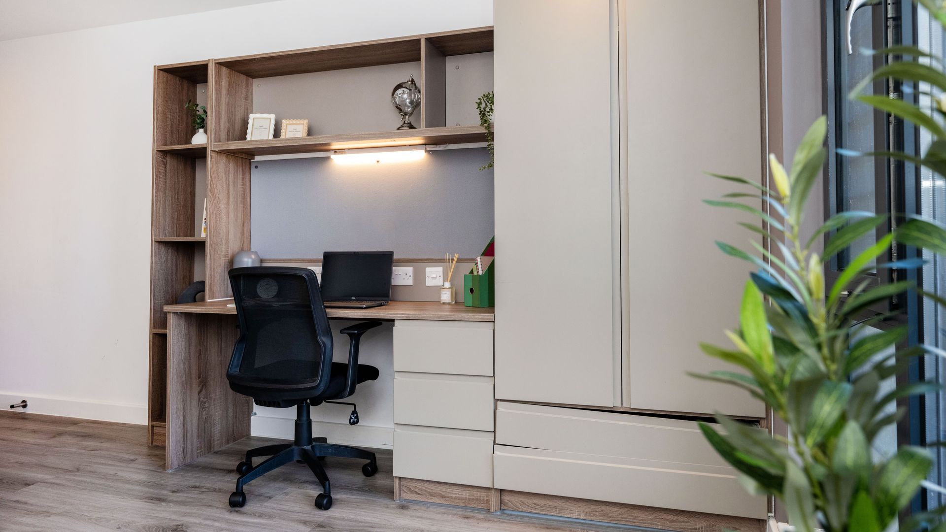 Image of Howard Gardens, Cardiff