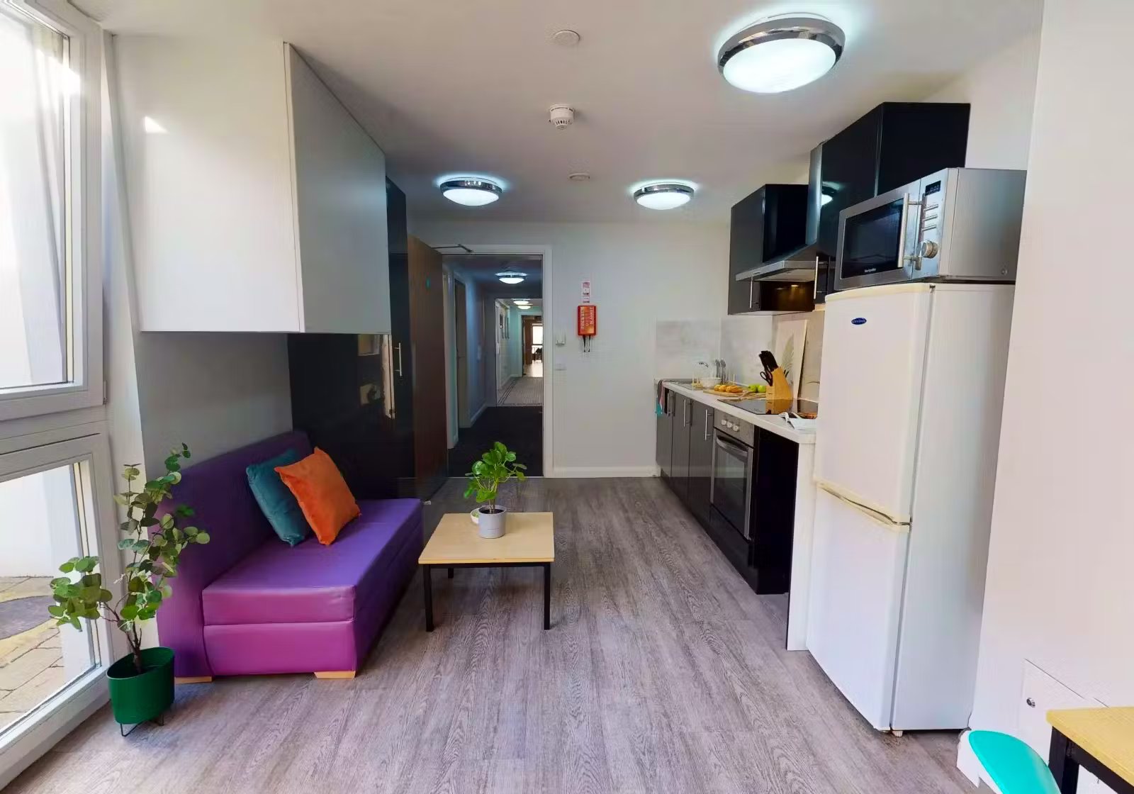 Image of iQ Sawmills, Brighton