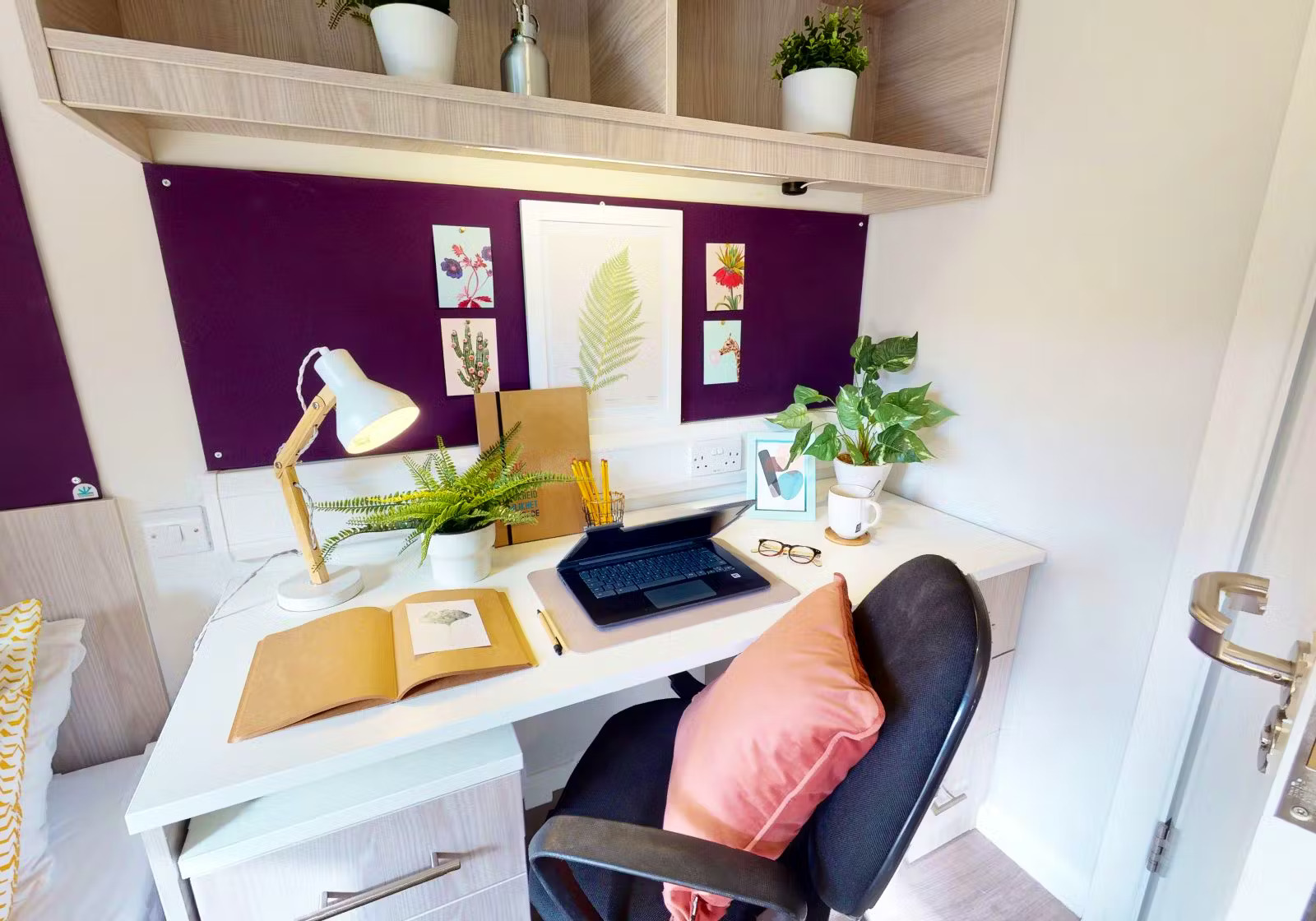 Image of iQ Sawmills, Brighton