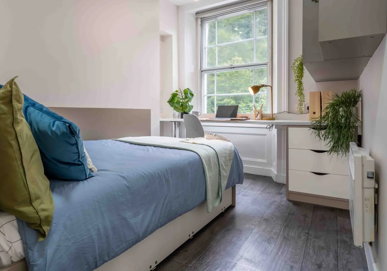 Image of iQ Ty Willis House, Bangor