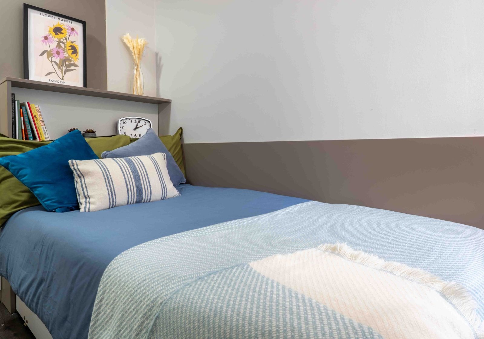 Image of iQ Ty Willis House, Bangor