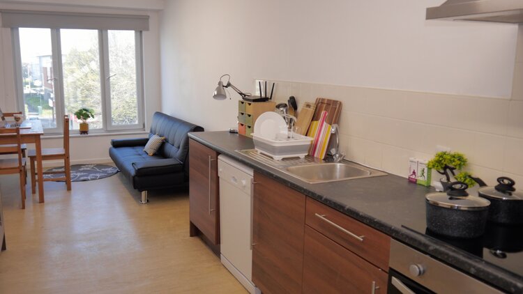 Image of Linthorpe Hall 248