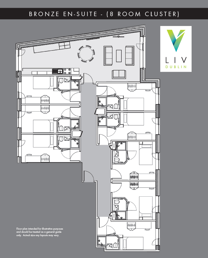 Image of LIV Student Dublin