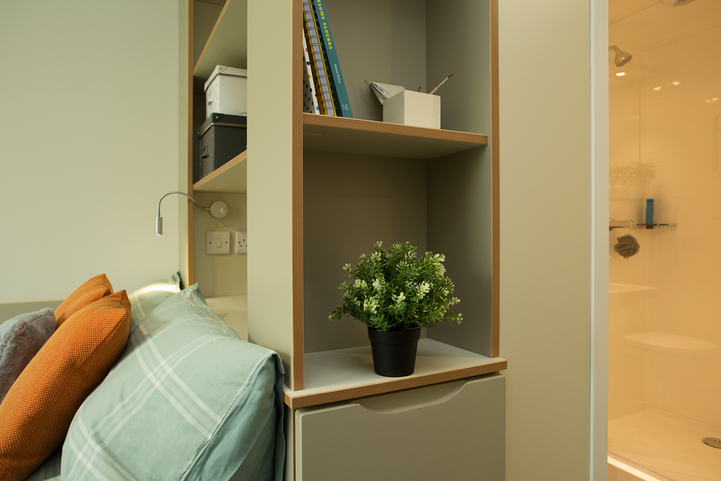 Image of LIV Student Dublin