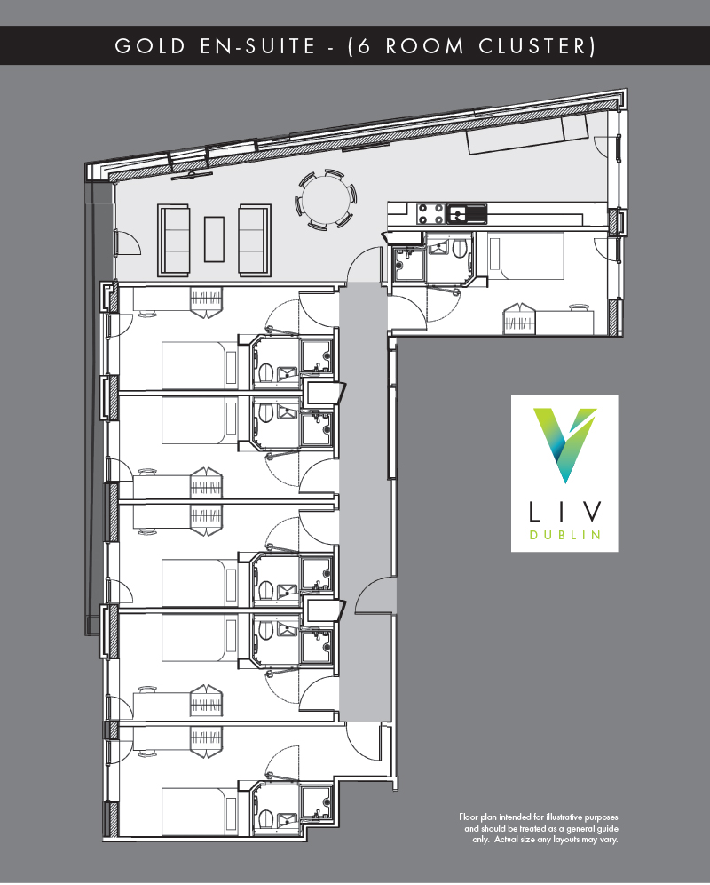 Image of LIV Student Dublin