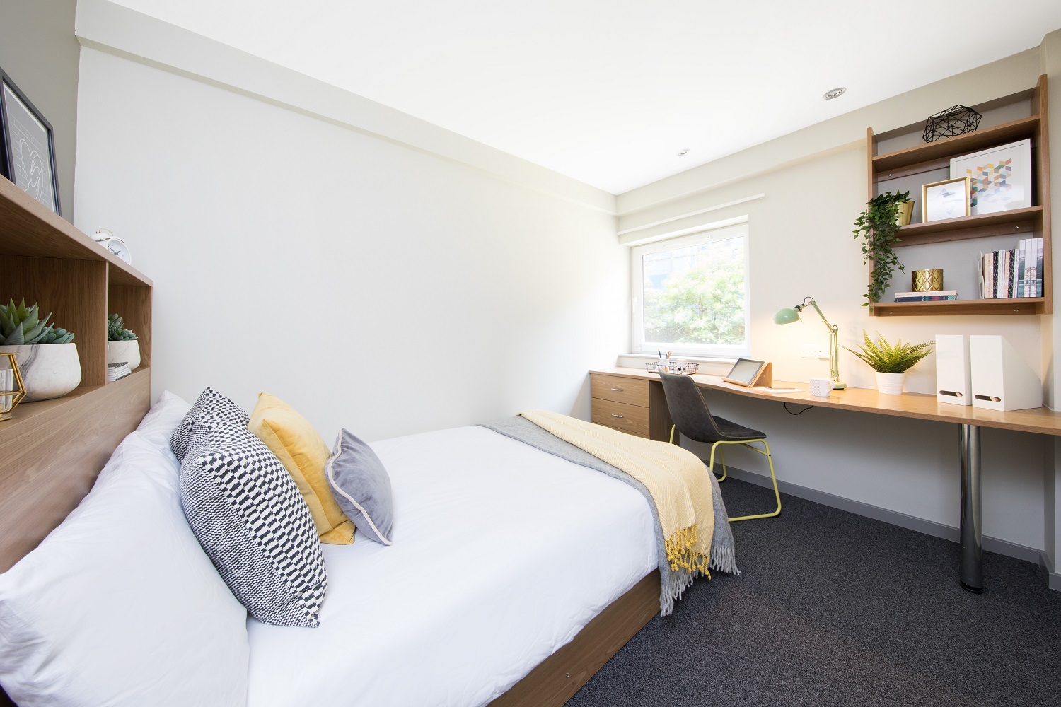 Image of Manor Bank, Newcastle