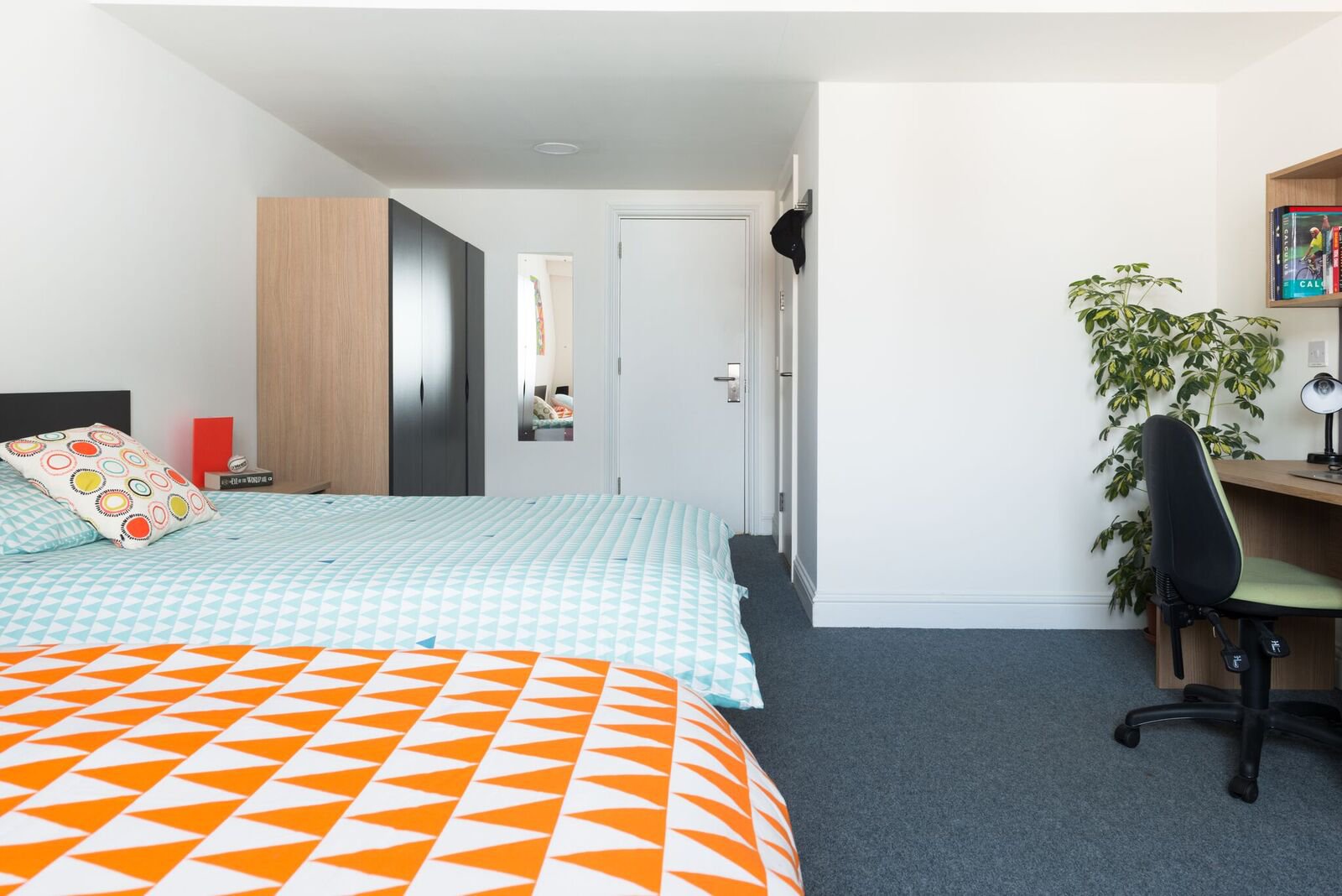 Image of Montrose, Dublin