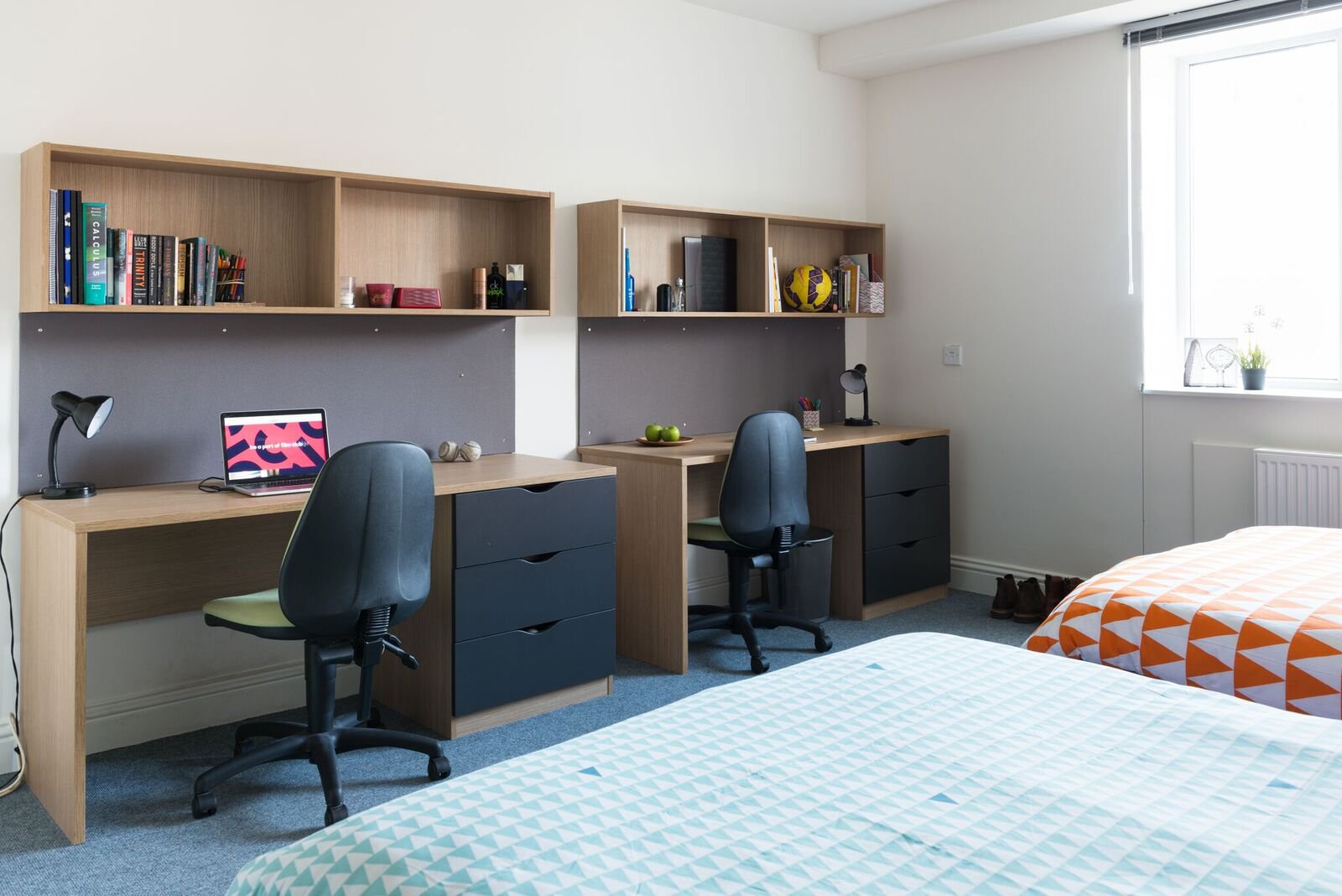 Image of Montrose, Dublin