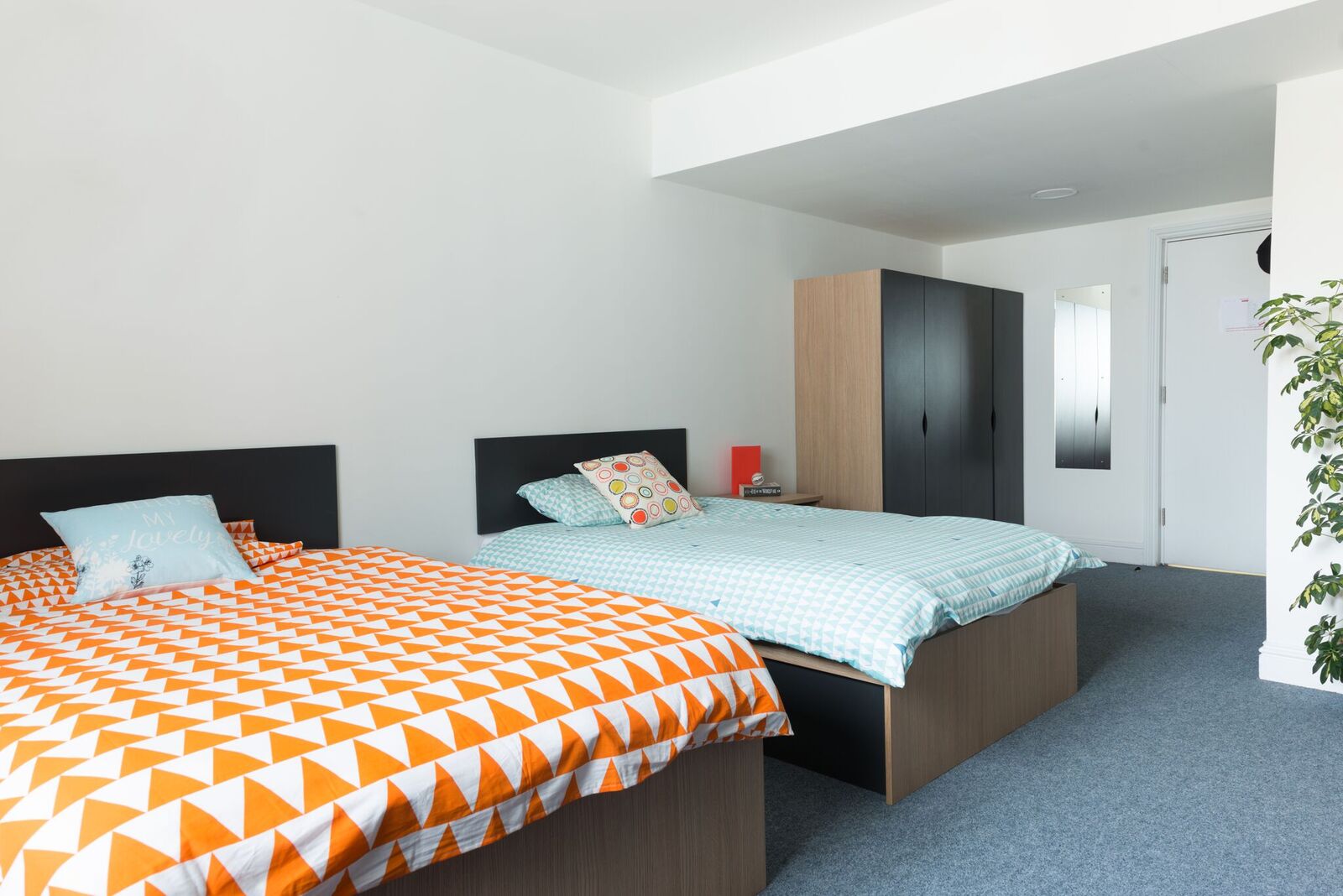 Image of Montrose, Dublin