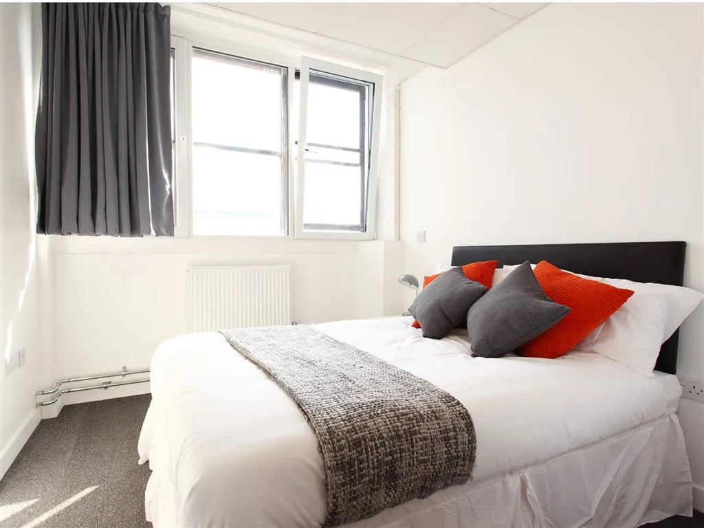 Image of My Pad, Paisley