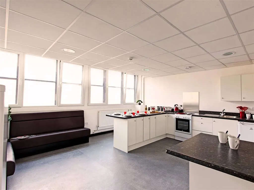 Image of My Pad, Paisley