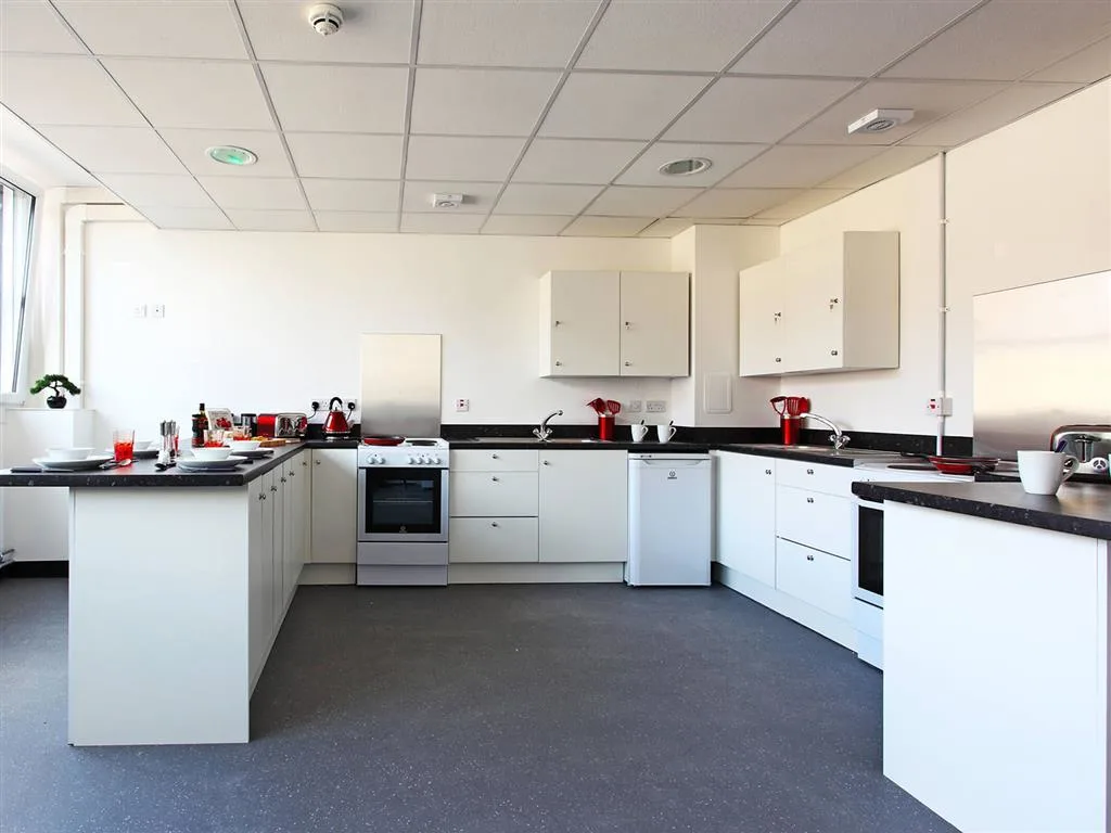 Image of My Pad, Paisley