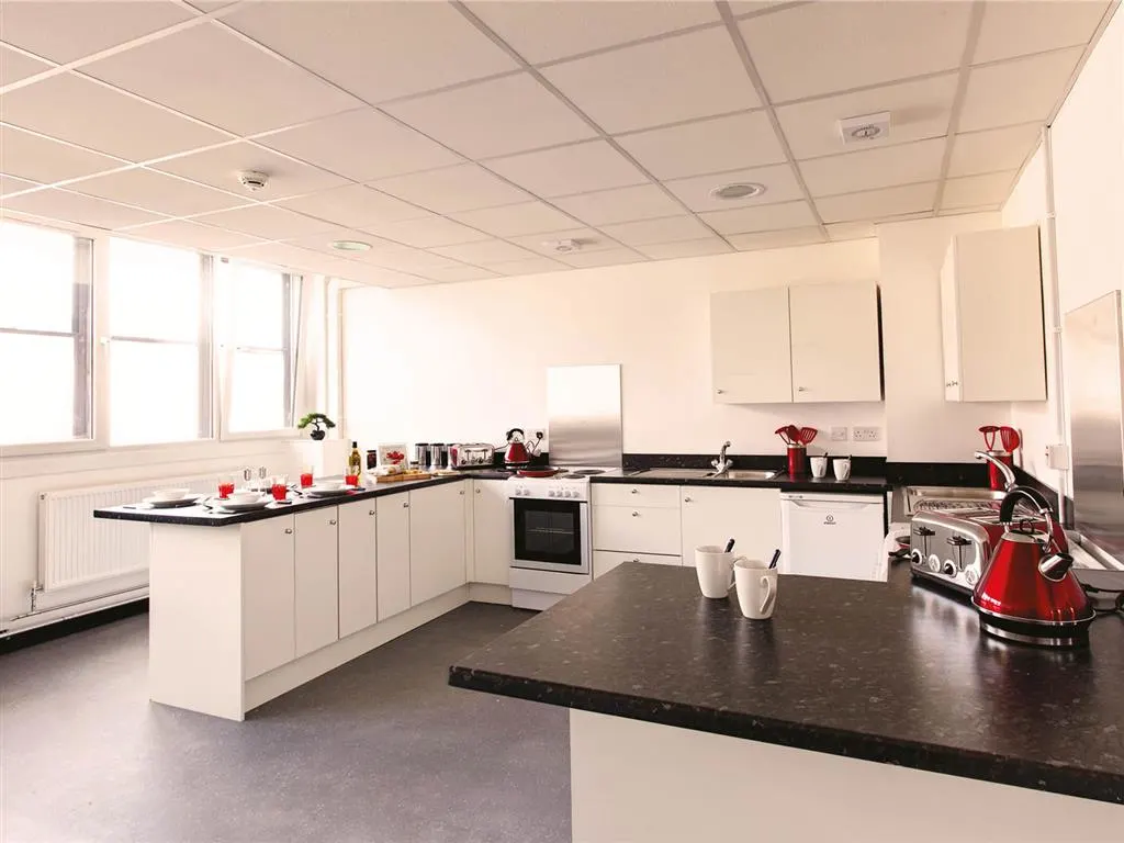 Image of My Pad, Paisley