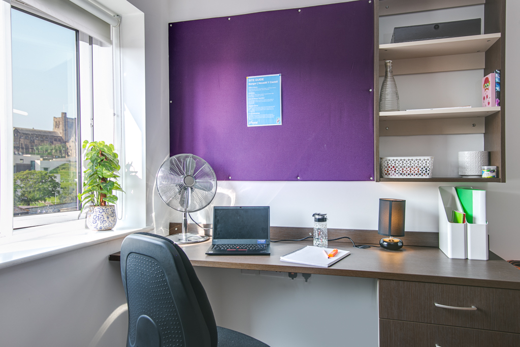 Image of Neuadd y Castell, Bangor