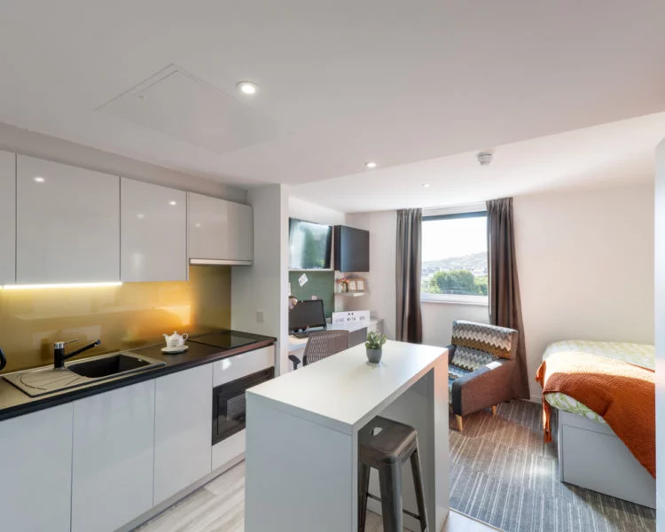 Image of New Park, Edinburgh