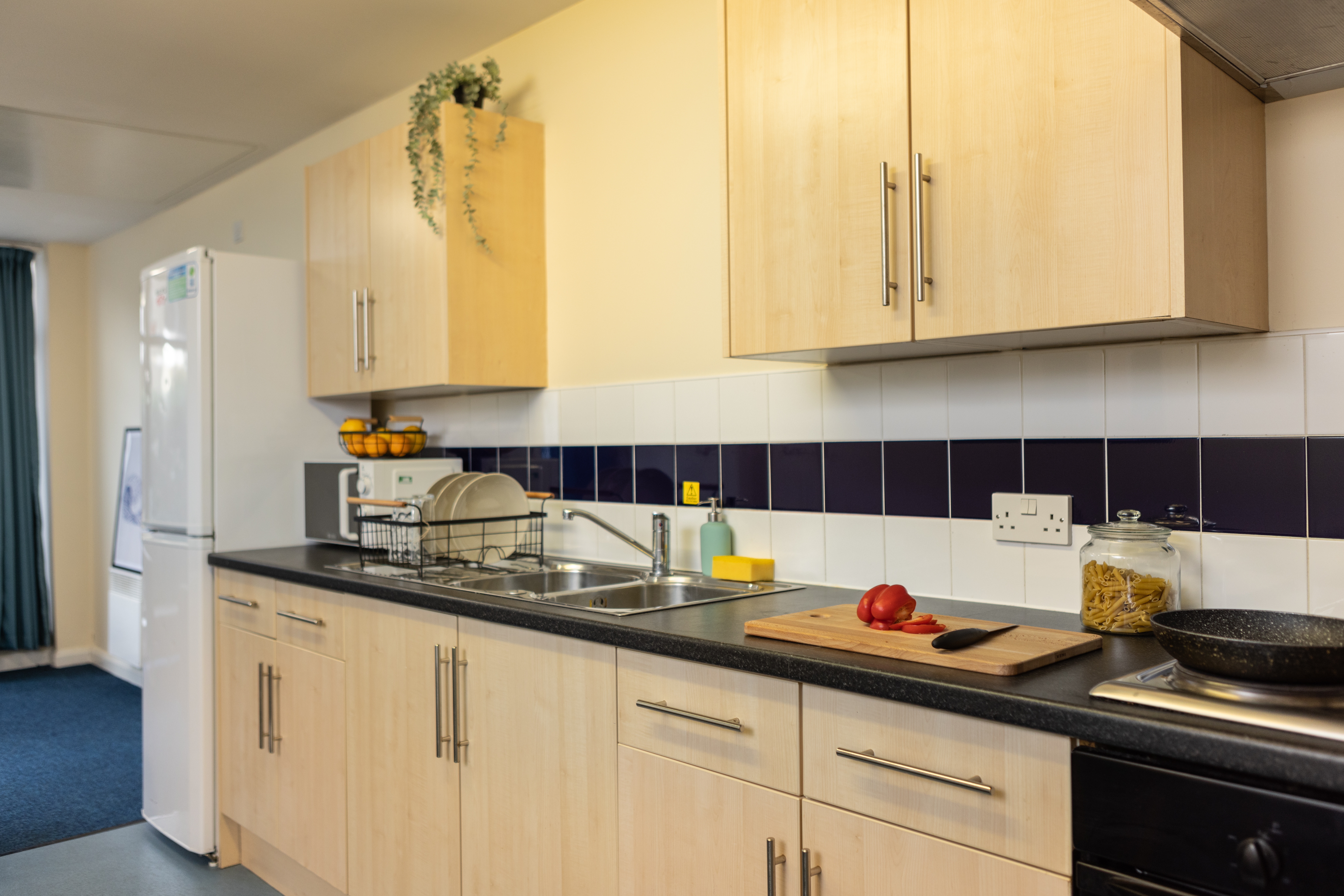 Image of Newport Student Village, Newport