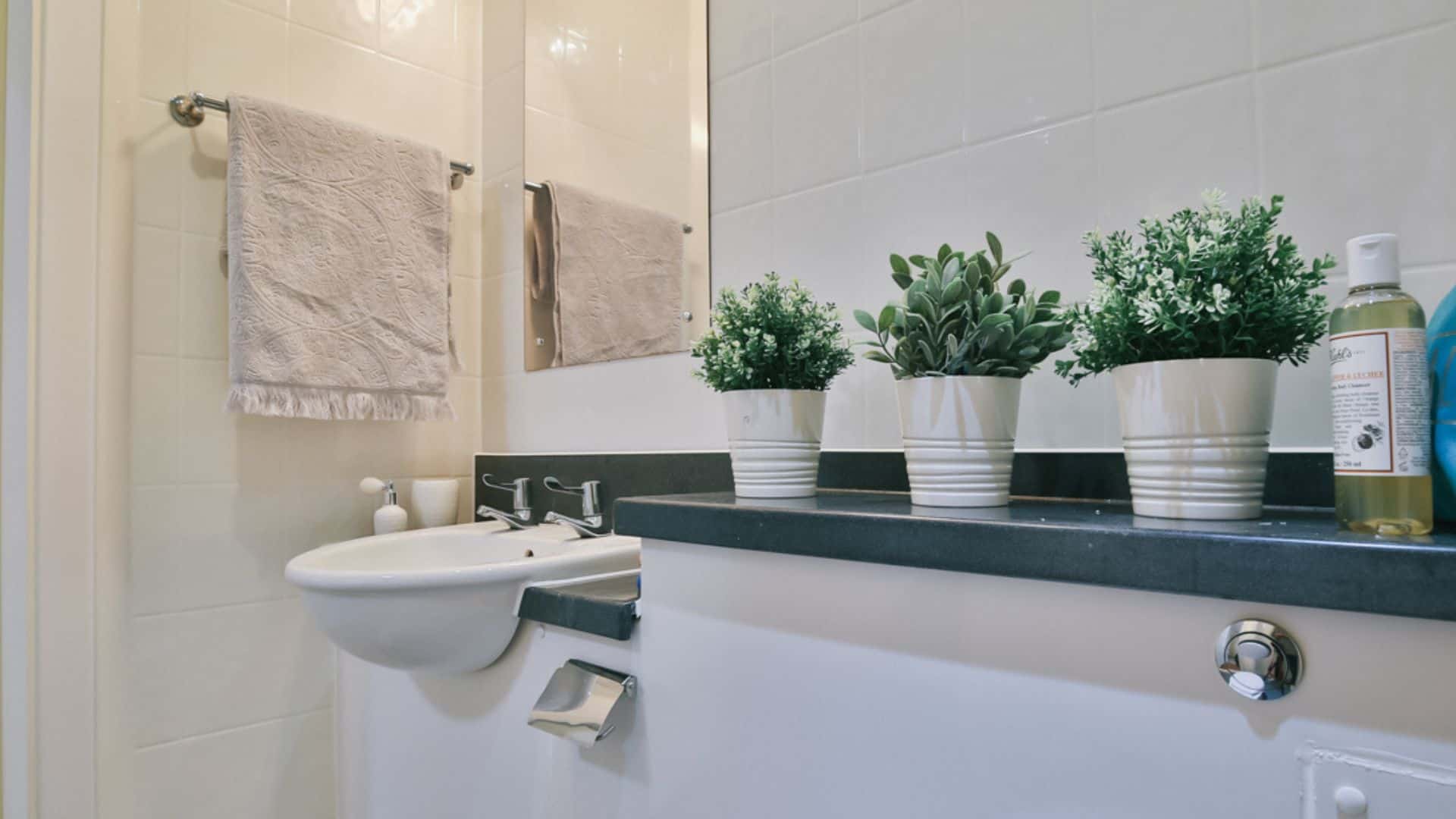 Image of Pavilion Court, Canterbury