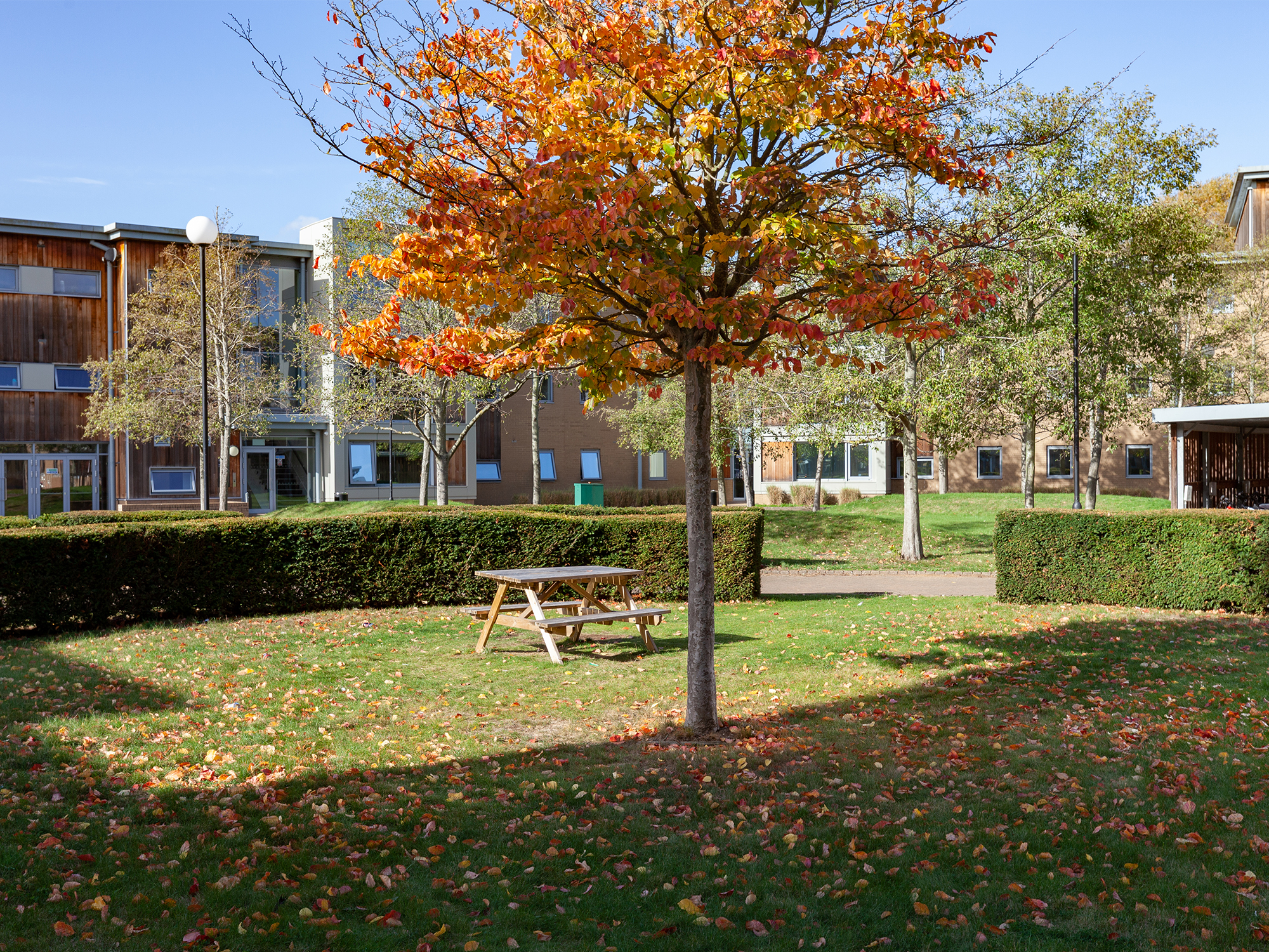 Image of Polhill Park, Bedford