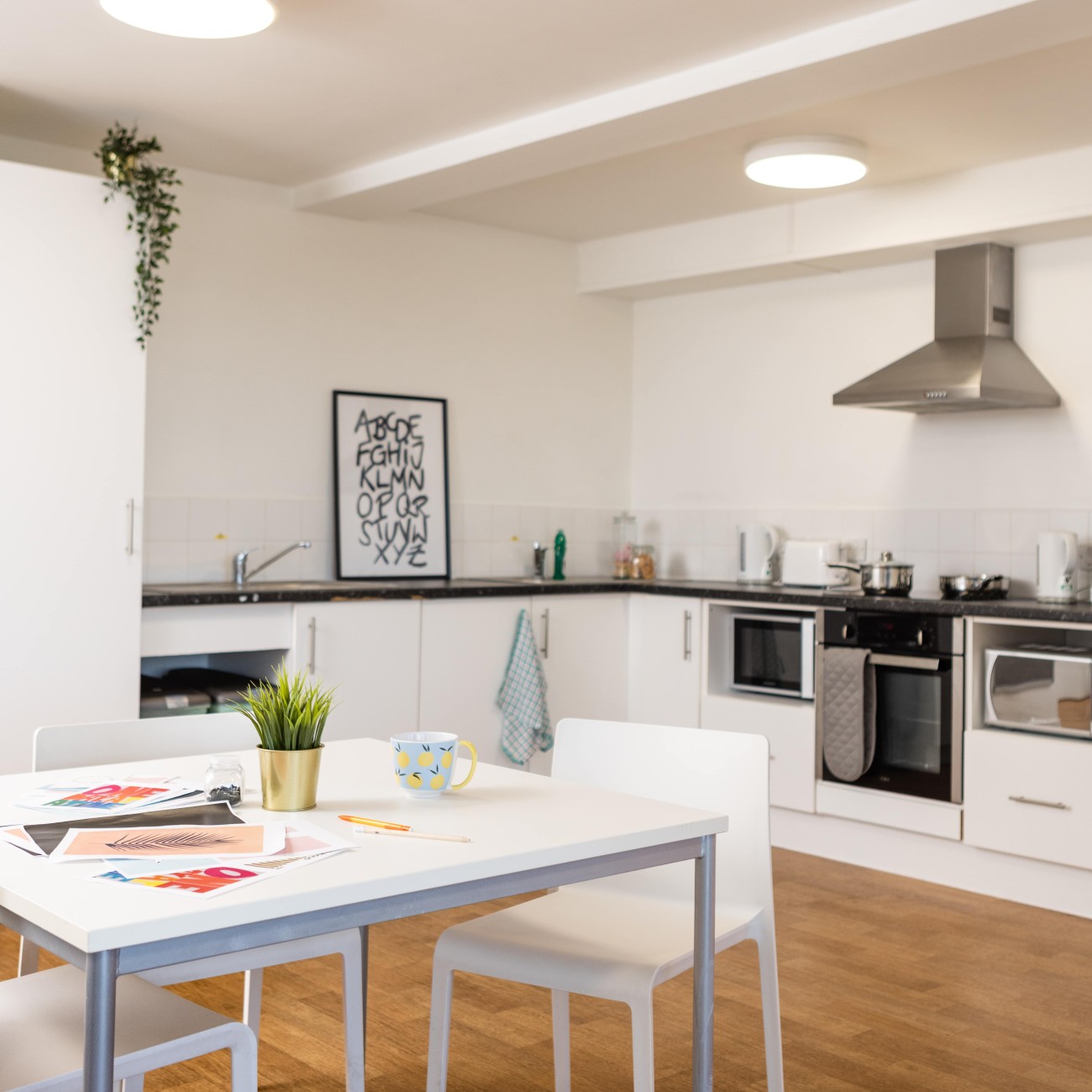 Image of Prince Consort Village, London