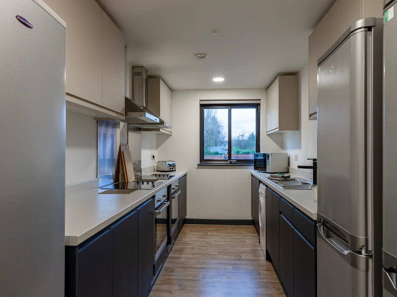 Image of Red Queen, Coventry